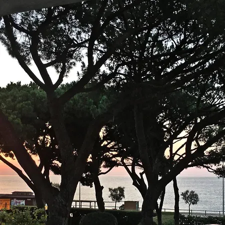 Golden Sunrise With Sea Views アパート *